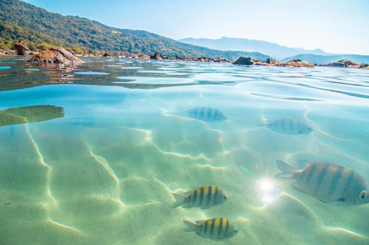 Hotel Bem Te VI Ubatuba Eksteriør billede